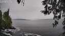 ./images/koeye/fitz-hugh/20260319/fitz-hugh20260319_144501M.jpg