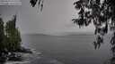 ./images/koeye/fitz-hugh/20260319/fitz-hugh20260319_151502M.jpg