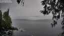 ./images/koeye/fitz-hugh/20260319/fitz-hugh20260319_155001M.jpg