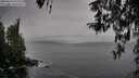 ./images/koeye/fitz-hugh/20260319/fitz-hugh20260319_155502M.jpg