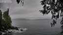 ./images/koeye/fitz-hugh/20260319/fitz-hugh20260319_162002M.jpg