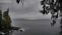 ./images/koeye/fitz-hugh/20260319/fitz-hugh20260319_164501M.jpg