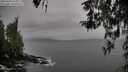./images/koeye/fitz-hugh/20260319/fitz-hugh20260319_165001M.jpg
