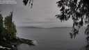 ./images/koeye/fitz-hugh/20260319/fitz-hugh20260319_171001M.jpg