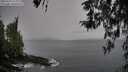 ./images/koeye/fitz-hugh/20260319/fitz-hugh20260319_173001M.jpg