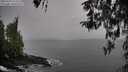 ./images/koeye/fitz-hugh/20260319/fitz-hugh20260319_174501M.jpg