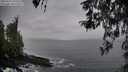 ./images/koeye/fitz-hugh/20260319/fitz-hugh20260319_180501M.jpg