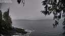 ./images/koeye/fitz-hugh/20260319/fitz-hugh20260319_184501M.jpg
