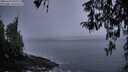 ./images/koeye/fitz-hugh/20260319/fitz-hugh20260319_195501M.jpg