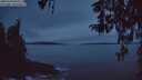 ./images/koeye/fitz-hugh/20260320/fitz-hugh20260320_070001M.jpg