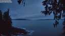 ./images/koeye/fitz-hugh/20260320/fitz-hugh20260320_070501M.jpg
