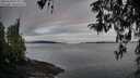 ./images/koeye/fitz-hugh/20260320/fitz-hugh20260320_075001M.jpg