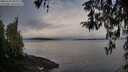 ./images/koeye/fitz-hugh/20260320/fitz-hugh20260320_085501M.jpg