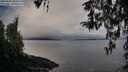 ./images/koeye/fitz-hugh/20260320/fitz-hugh20260320_090502M.jpg