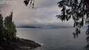 ./images/koeye/fitz-hugh/20260320/fitz-hugh20260320_091002M.jpg