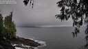./images/koeye/fitz-hugh/20260320/fitz-hugh20260320_095001M.jpg