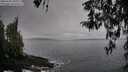 ./images/koeye/fitz-hugh/20260320/fitz-hugh20260320_101001M.jpg