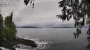 ./images/koeye/fitz-hugh/20260320/fitz-hugh20260320_105002M.jpg