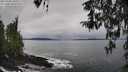 ./images/koeye/fitz-hugh/20260320/fitz-hugh20260320_105501M.jpg