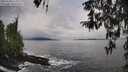./images/koeye/fitz-hugh/20260320/fitz-hugh20260320_113001M.jpg
