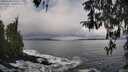 ./images/koeye/fitz-hugh/20260320/fitz-hugh20260320_120502M.jpg