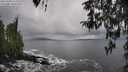 ./images/koeye/fitz-hugh/20260320/fitz-hugh20260320_122002M.jpg