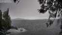 ./images/koeye/fitz-hugh/20260320/fitz-hugh20260320_124502M.jpg