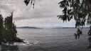 ./images/koeye/fitz-hugh/20260320/fitz-hugh20260320_134001M.jpg