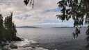./images/koeye/fitz-hugh/20260320/fitz-hugh20260320_135501M.jpg