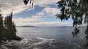 ./images/koeye/fitz-hugh/20260320/fitz-hugh20260320_140501M.jpg
