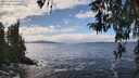 ./images/koeye/fitz-hugh/20260320/fitz-hugh20260320_141002M.jpg