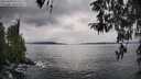 ./images/koeye/fitz-hugh/20260320/fitz-hugh20260320_151501M.jpg
