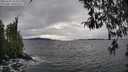 ./images/koeye/fitz-hugh/20260320/fitz-hugh20260320_154502M.jpg