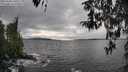 ./images/koeye/fitz-hugh/20260320/fitz-hugh20260320_160501M.jpg