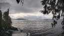 ./images/koeye/fitz-hugh/20260320/fitz-hugh20260320_162502M.jpg