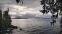 ./images/koeye/fitz-hugh/20260320/fitz-hugh20260320_163501M.jpg