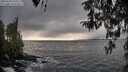 ./images/koeye/fitz-hugh/20260320/fitz-hugh20260320_170501M.jpg