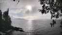 ./images/koeye/fitz-hugh/20260320/fitz-hugh20260320_173001M.jpg