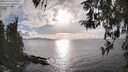 ./images/koeye/fitz-hugh/20260320/fitz-hugh20260320_173501M.jpg