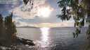 ./images/koeye/fitz-hugh/20260320/fitz-hugh20260320_174001M.jpg