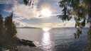 ./images/koeye/fitz-hugh/20260320/fitz-hugh20260320_174501M.jpg