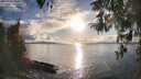 ./images/koeye/fitz-hugh/20260320/fitz-hugh20260320_181001M.jpg