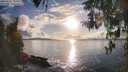 ./images/koeye/fitz-hugh/20260320/fitz-hugh20260320_181501M.jpg