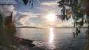 ./images/koeye/fitz-hugh/20260320/fitz-hugh20260320_182001M.jpg