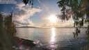 ./images/koeye/fitz-hugh/20260320/fitz-hugh20260320_183002M.jpg