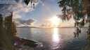 ./images/koeye/fitz-hugh/20260320/fitz-hugh20260320_184001M.jpg