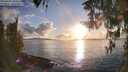 ./images/koeye/fitz-hugh/20260320/fitz-hugh20260320_184501M.jpg