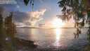 ./images/koeye/fitz-hugh/20260320/fitz-hugh20260320_185501M.jpg