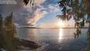 ./images/koeye/fitz-hugh/20260320/fitz-hugh20260320_191001M.jpg