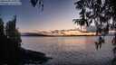 ./images/koeye/fitz-hugh/20260320/fitz-hugh20260320_195001M.jpg